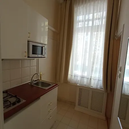 公寓式酒店 Orgona