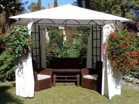 Orgona 3* 希欧福克