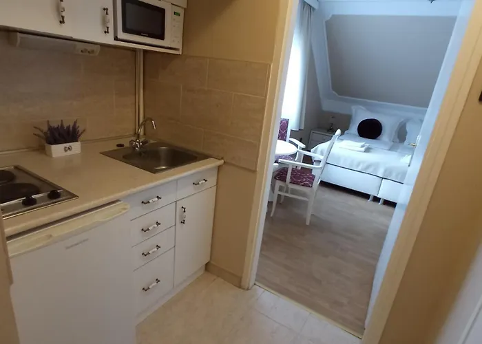 Orgona 3* Шиофок